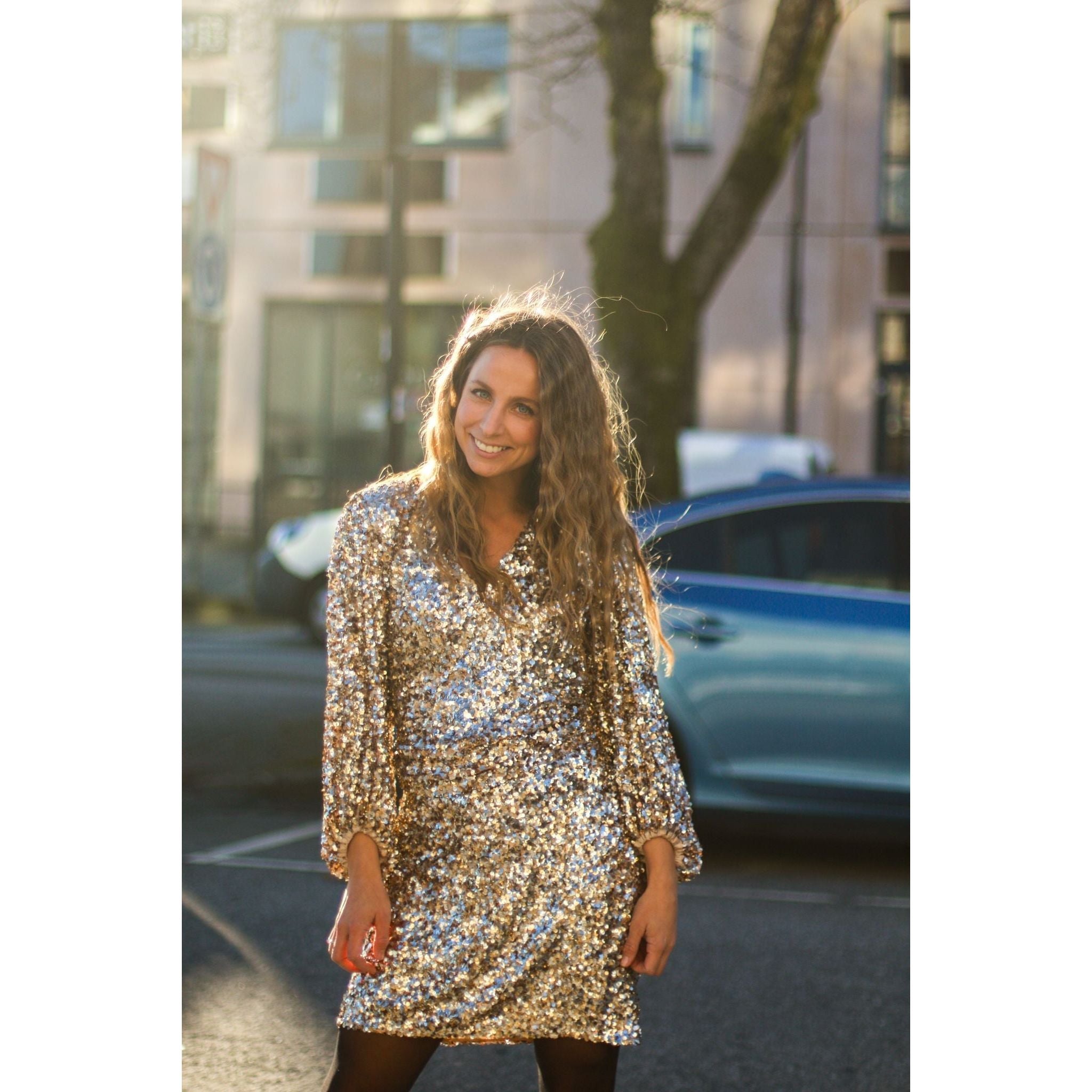 Bianca Sequin Dress