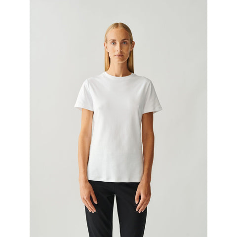 Roundneck Cotton Jersey Tee