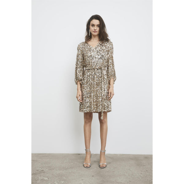 Bianca Sequin Dress