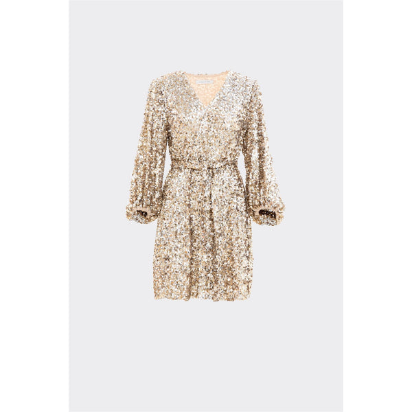 Bianca Sequin Dress